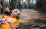Australia fires: Your questions about arson, travel and recovery